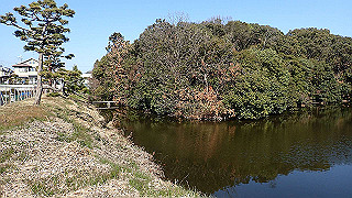 p2050292_thumb.jpg