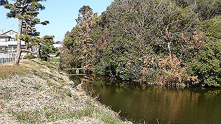p2050293_thumb.jpg