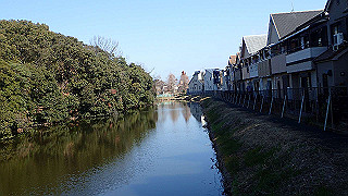 p2050294_thumb.jpg