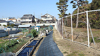 p2050295_thumb.jpg