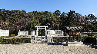 p2050297_thumb.jpg