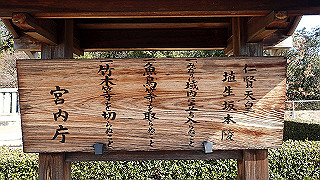 p2050298_thumb.jpg