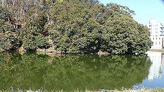 p2050302_thumb.jpg