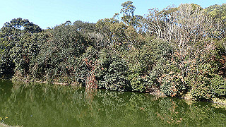 p2050303_thumb.jpg