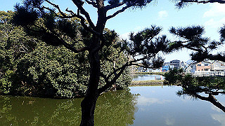 p2050308_thumb.jpg