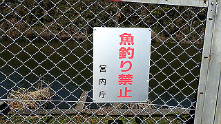 p2050310_thumb.jpg