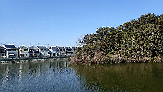 p2050311_thumb.jpg