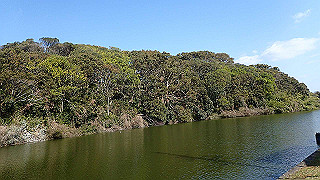 p2050312_thumb.jpg
