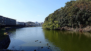 p2050321_thumb.jpg