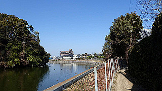 p2050323_thumb.jpg