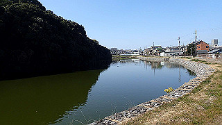 p2050324_thumb.jpg