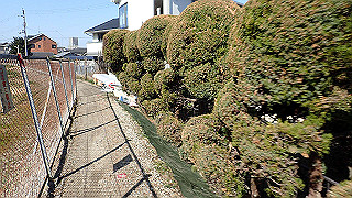 p2050325_thumb.jpg