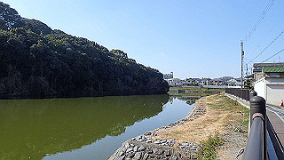 p2050328_thumb.jpg