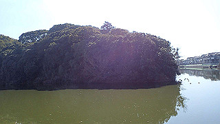 p2050332_thumb.jpg