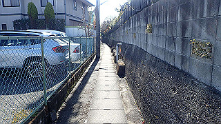 p2050335_thumb.jpg