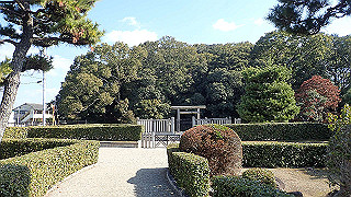 p2050339_thumb.jpg