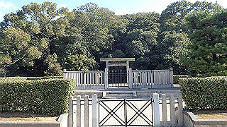 p2050340_thumb.jpg