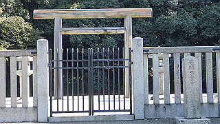 p2050342_thumb.jpg