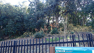 p2050348_thumb.jpg