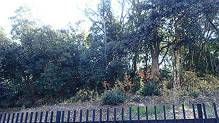 p2050349_thumb.jpg