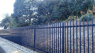 p2050350_thumb.jpg