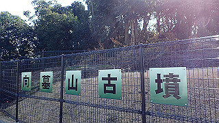p2050351_thumb.jpg