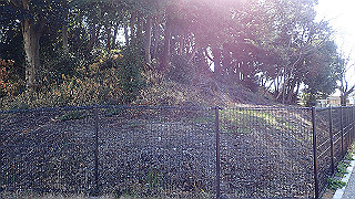 p2050352_thumb.jpg