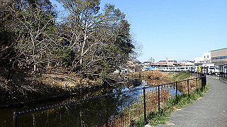 p2050357_thumb.jpg