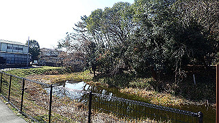 p2050358_thumb.jpg