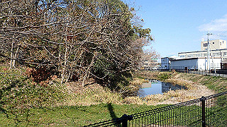 p2050360_thumb.jpg