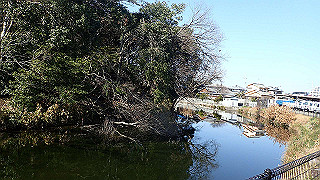 p2050361_thumb.jpg