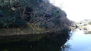 p2050363_thumb.jpg
