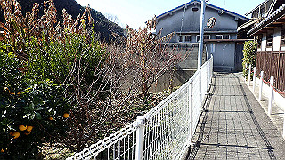 p2050364_thumb.jpg