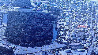 p2050370_thumb.jpg