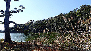 p2050372_thumb.jpg