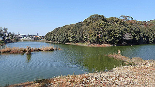 p2050375_thumb.jpg