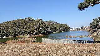 p2050378_thumb.jpg
