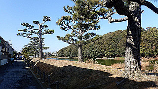 p2050379_thumb.jpg
