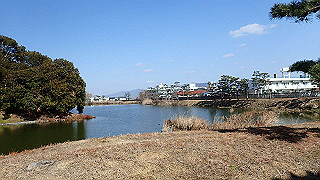 p2050380_thumb.jpg