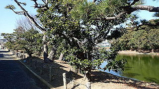p2050383_thumb.jpg