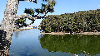 p2050384_thumb.jpg