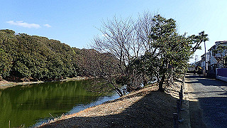 p2050385_thumb.jpg