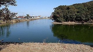 p2050386_thumb.jpg
