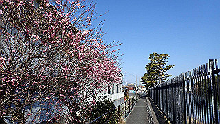 p2050387_thumb.jpg