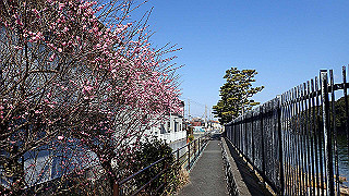 p2050388_thumb.jpg