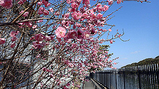 p2050389_thumb.jpg