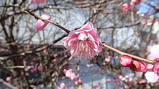 p2050390_thumb.jpg