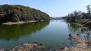 p2050391_thumb.jpg