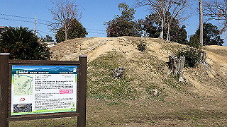 p2050398_thumb.jpg