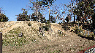 p2050399_thumb.jpg